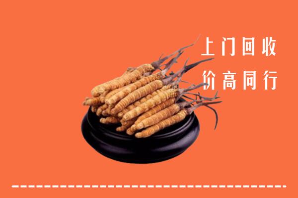 高价求购：白银区回收散虫草