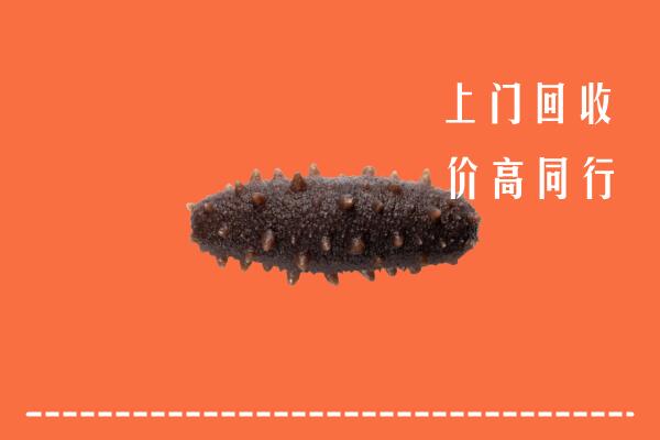 高价求购：白银区回收海参